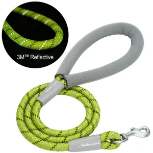 3M Reflective Dog Rope Leash with Neoprene Handle, Lime Green, 4 ft