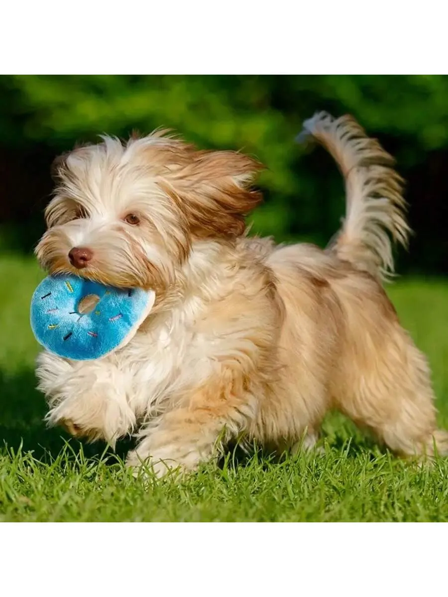 12pcs Pet Rope Knot And Plush Squeaky Toy Set, Suitable For Large, Medium And Small Dogs To Chew, Grind And Have Fun