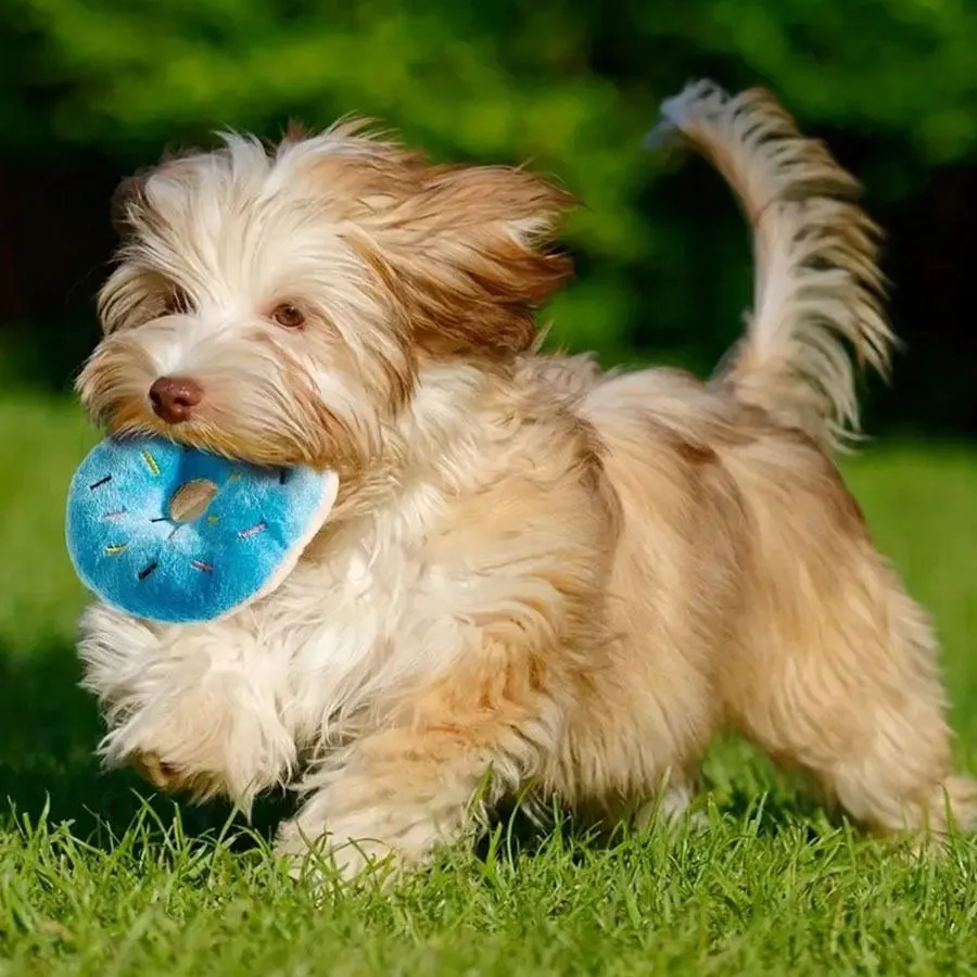 12pcs Pet Rope Knot And Plush Squeaky Toy Set, Suitable For Large, Medium And Small Dogs To Chew, Grind And Have Fun