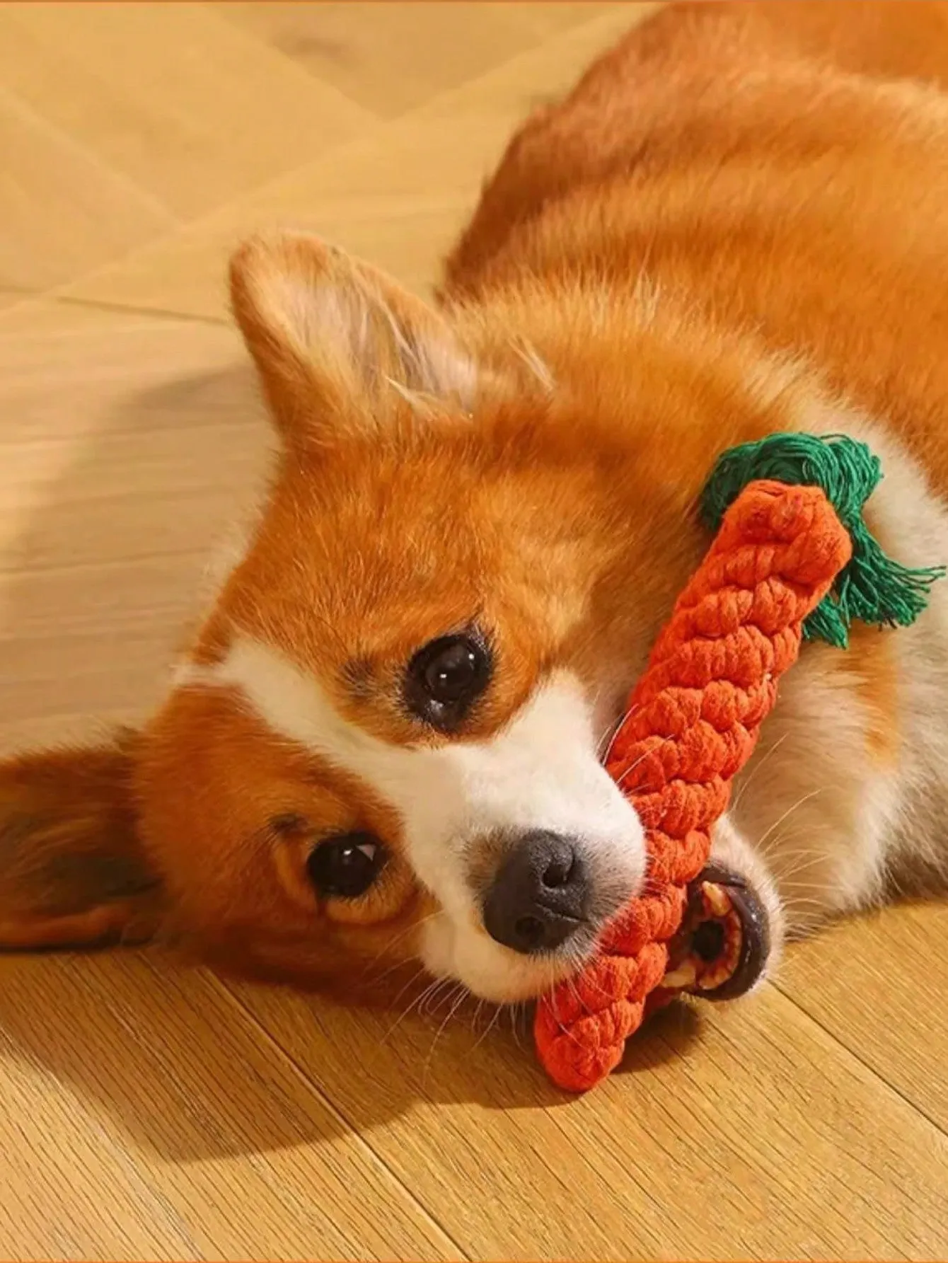 1pc Handmade Animal Shaped Rope Chew Toy With Knots For Small And Medium-Sized Dogs