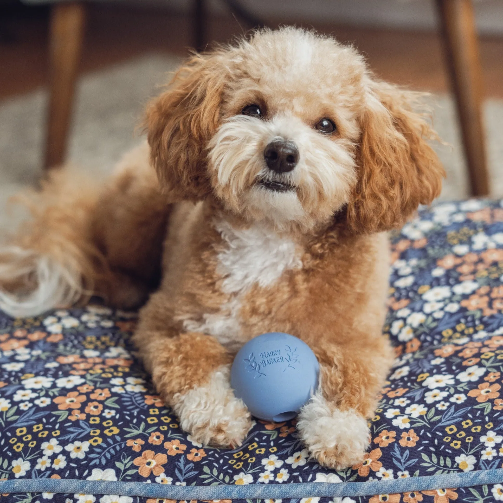 6-Pack Rubber Ball Set - Medium