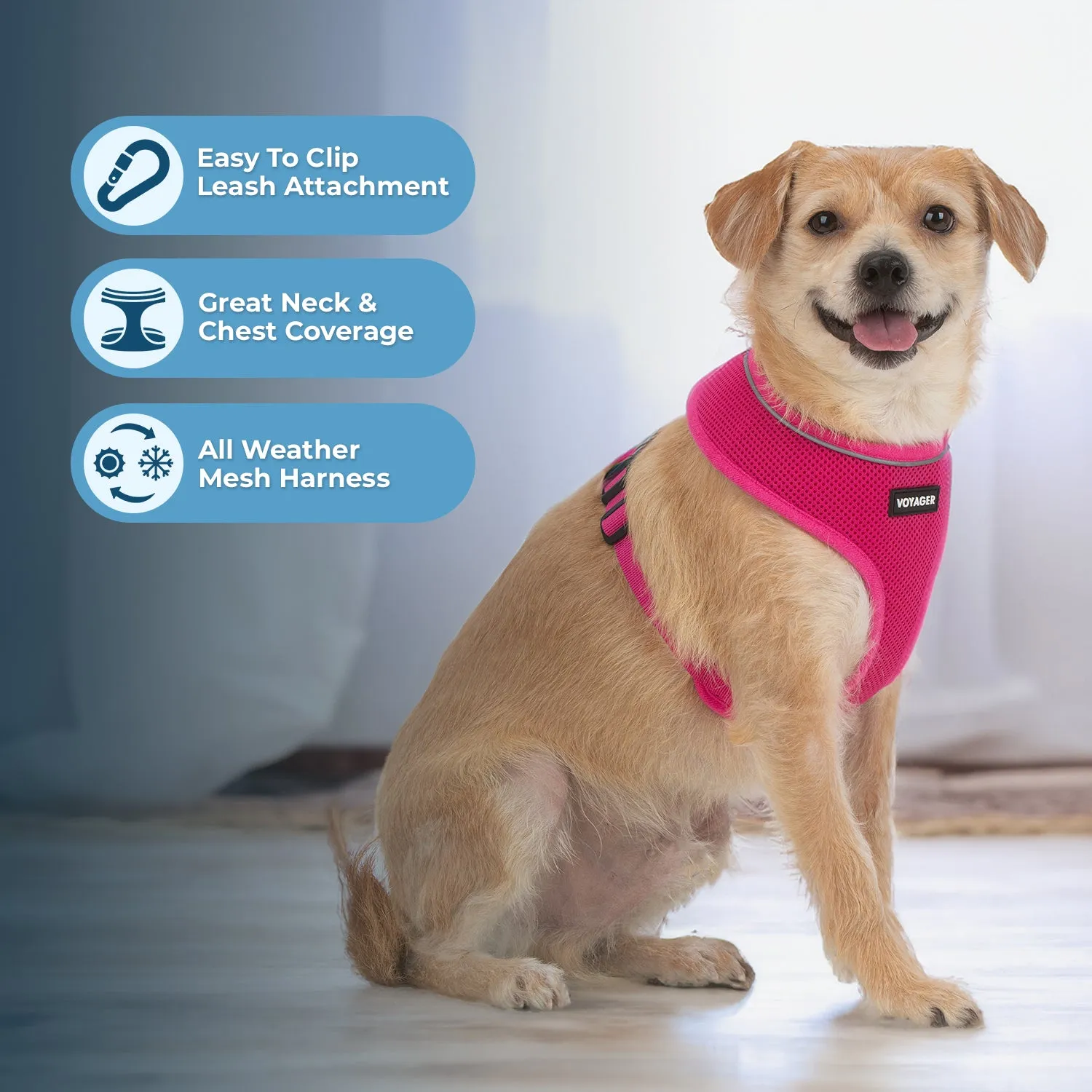 AeroLite Harness for Dogs