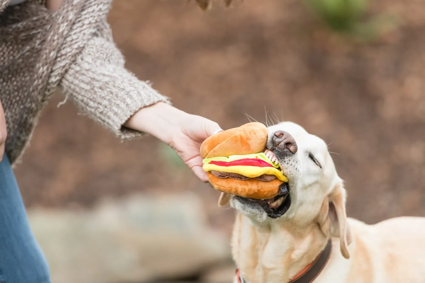 American Classic Barky Burger