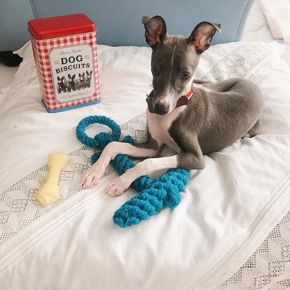 Anchor-Knotted Cotton Rope Toy