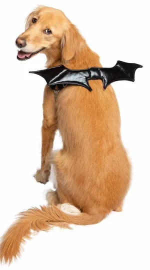 Bat Boy Dog Costume