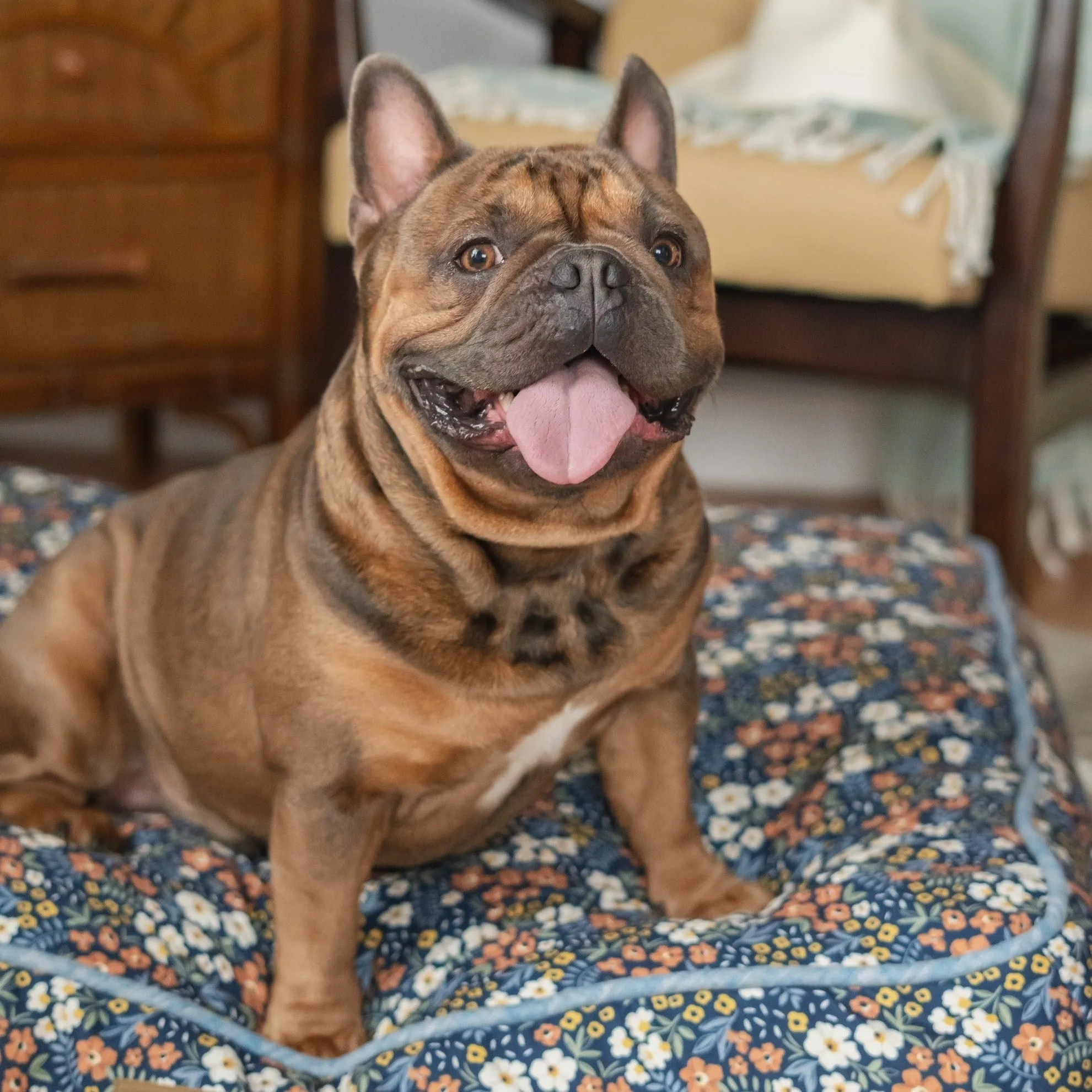 Calico Floral Rectangle Dog Bed