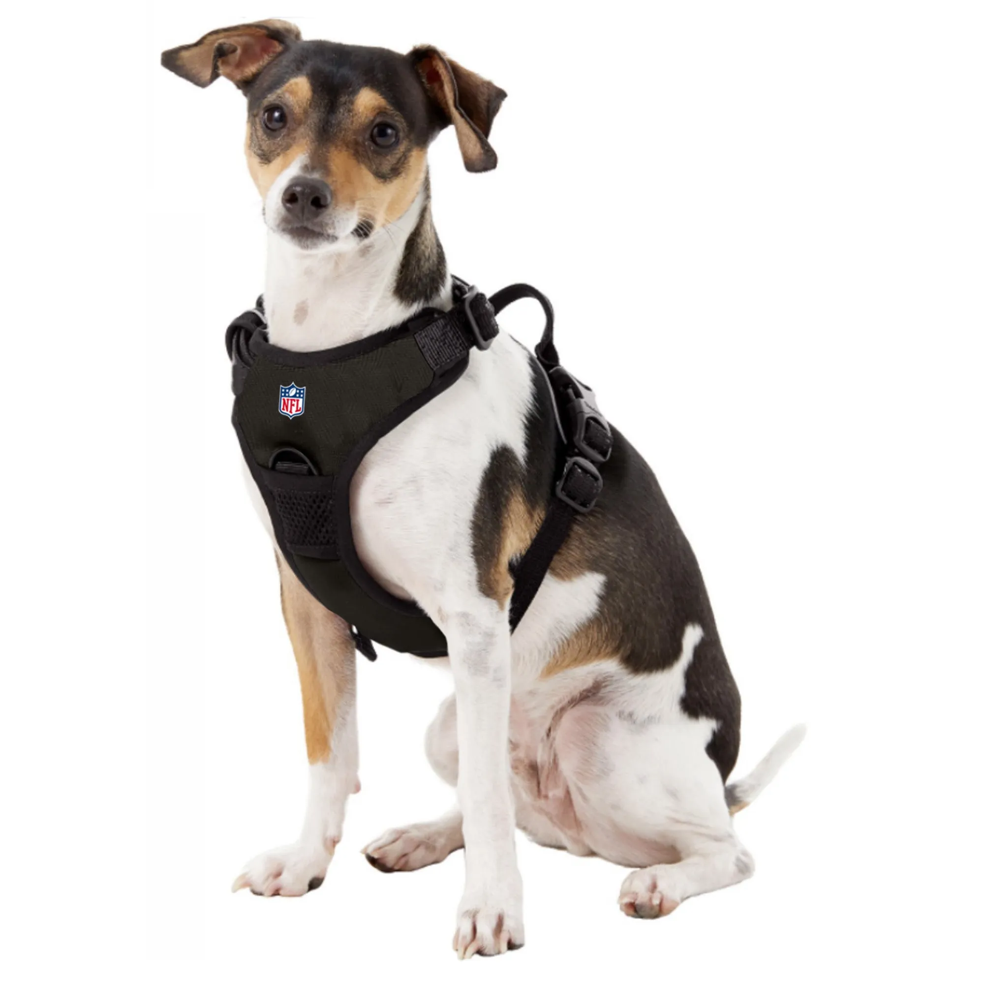 Carolina Panthers Front Clip Pet Harness