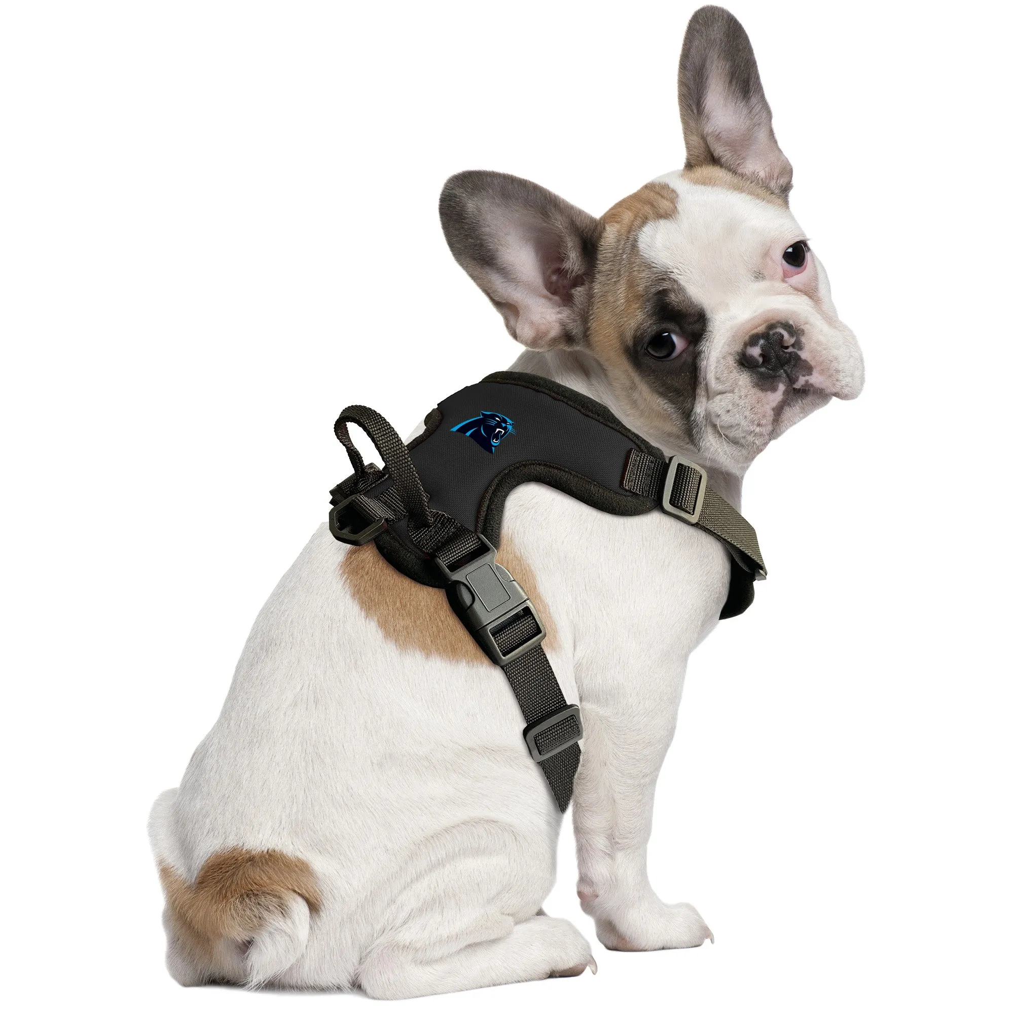 Carolina Panthers Front Clip Pet Harness