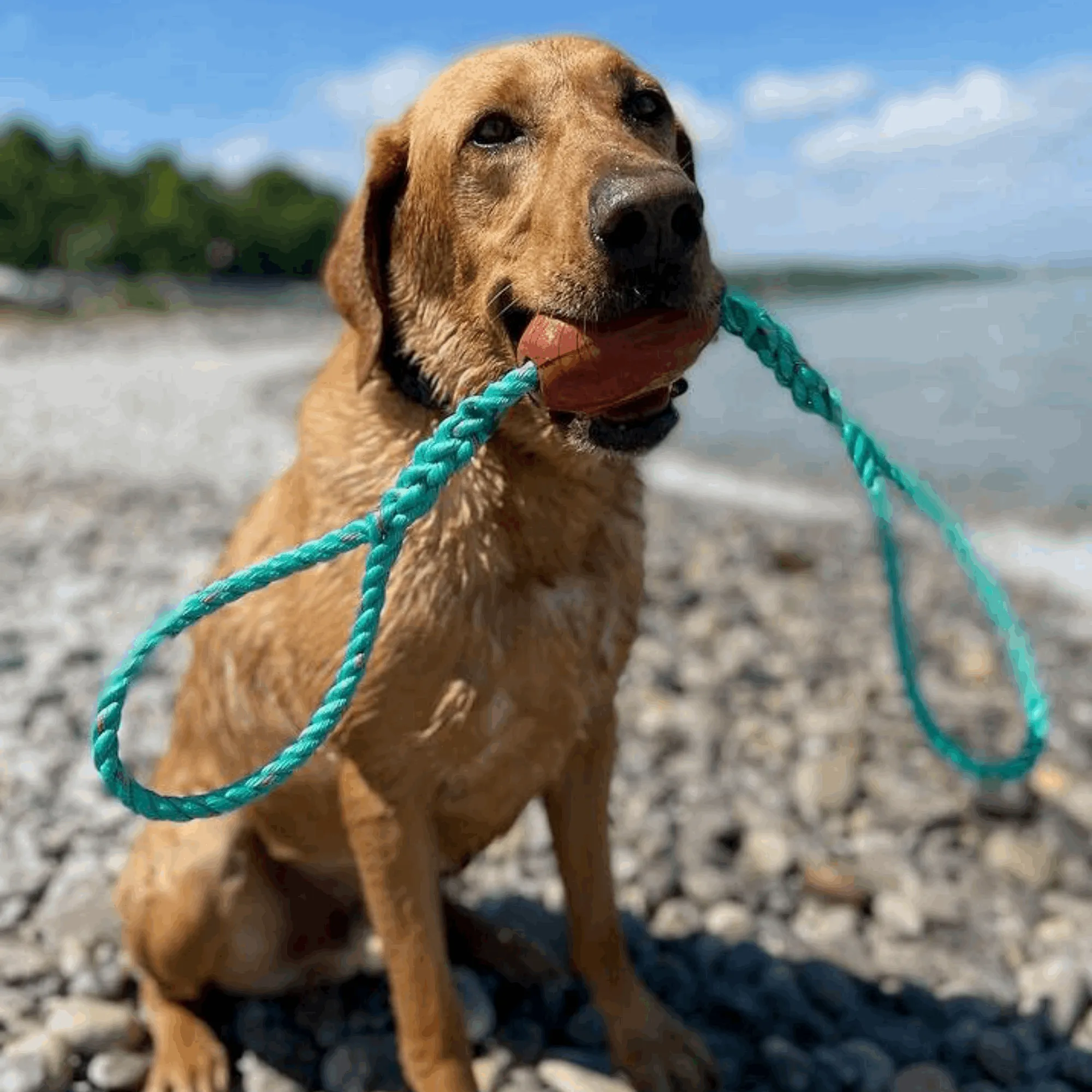 Castaway Recycled Float Tuggy Toy