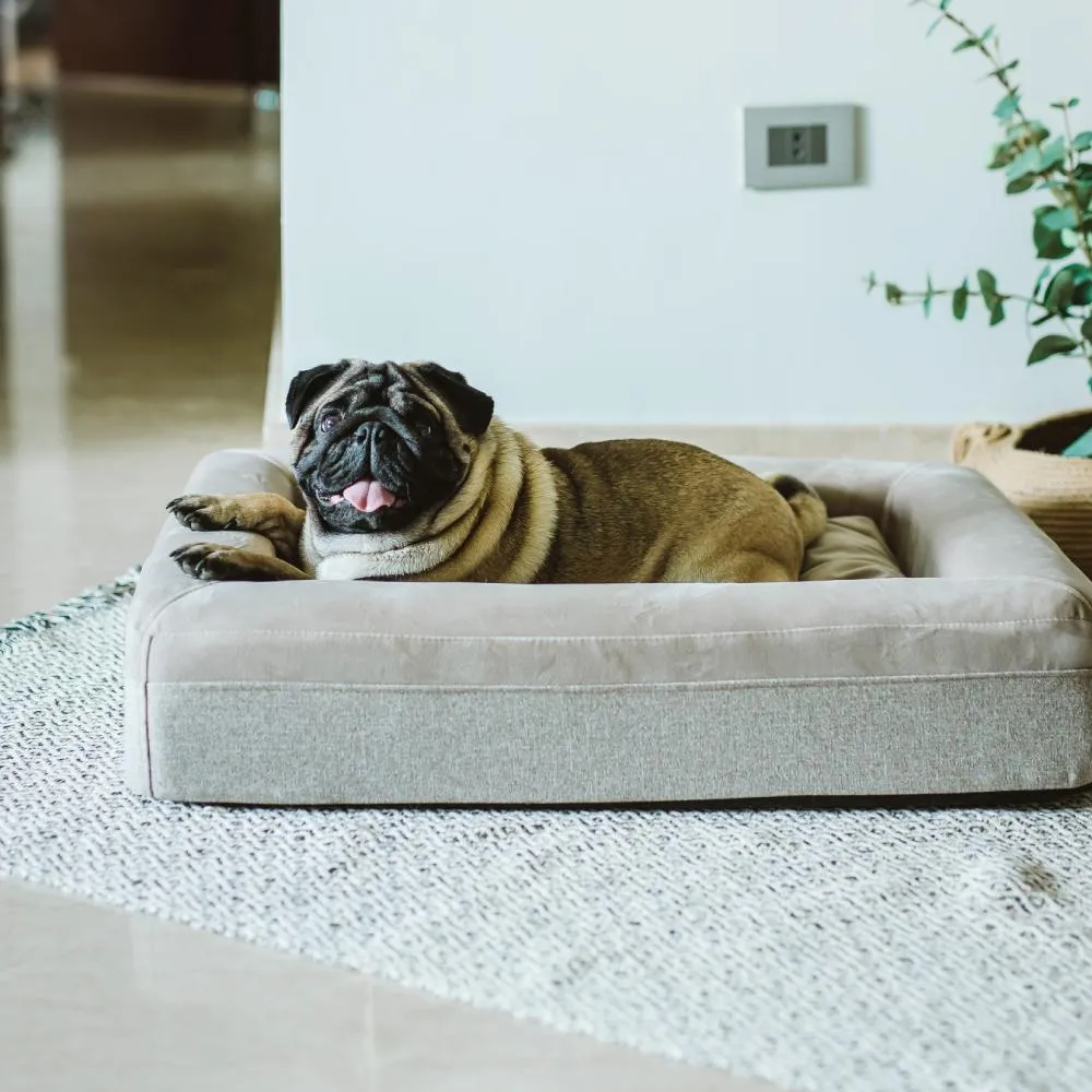 Charlie Pet Bed