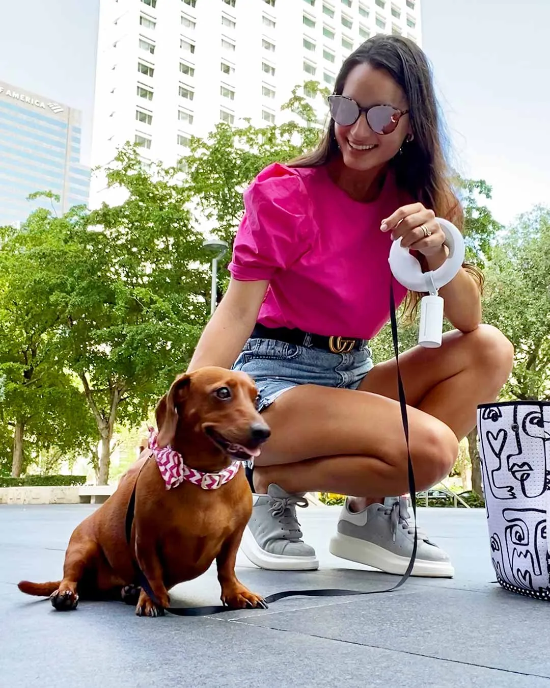 Cotton Candy Dog Collar