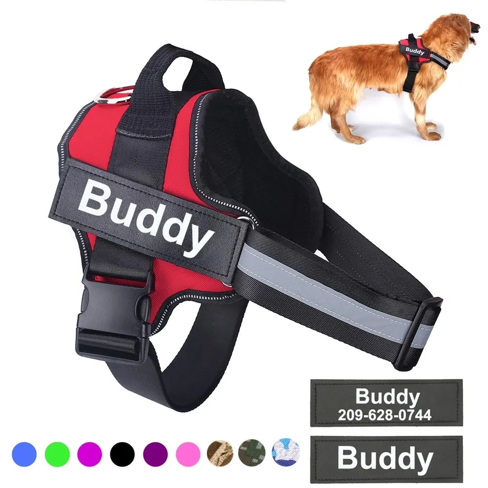 Custom Patch Dog Harness