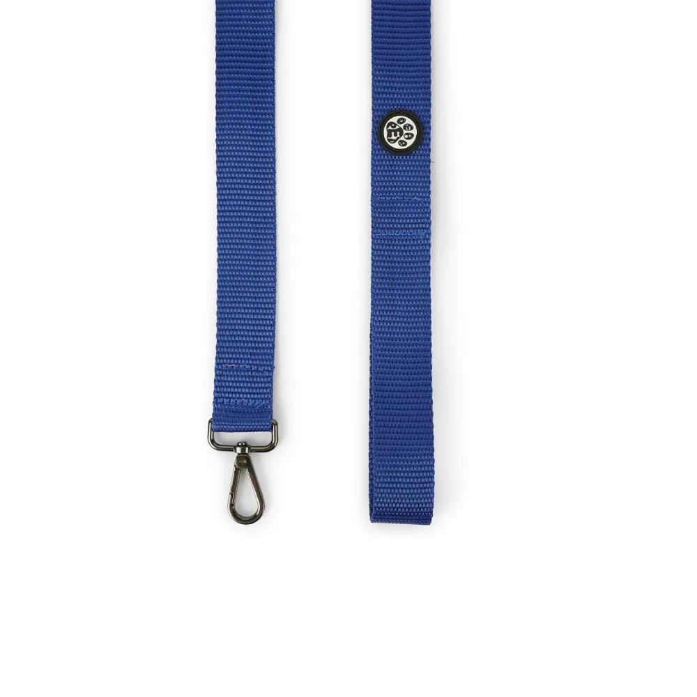 Dear Pet Nylon Dog Leash in Blue