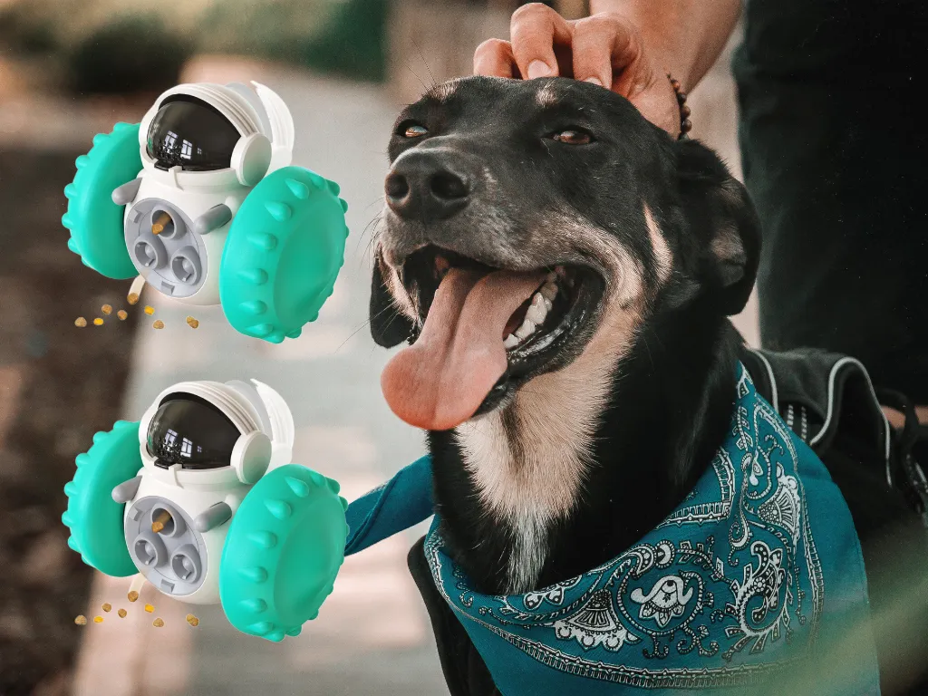 Dog Chasing Robot Interactive Toy | Slow Feeder