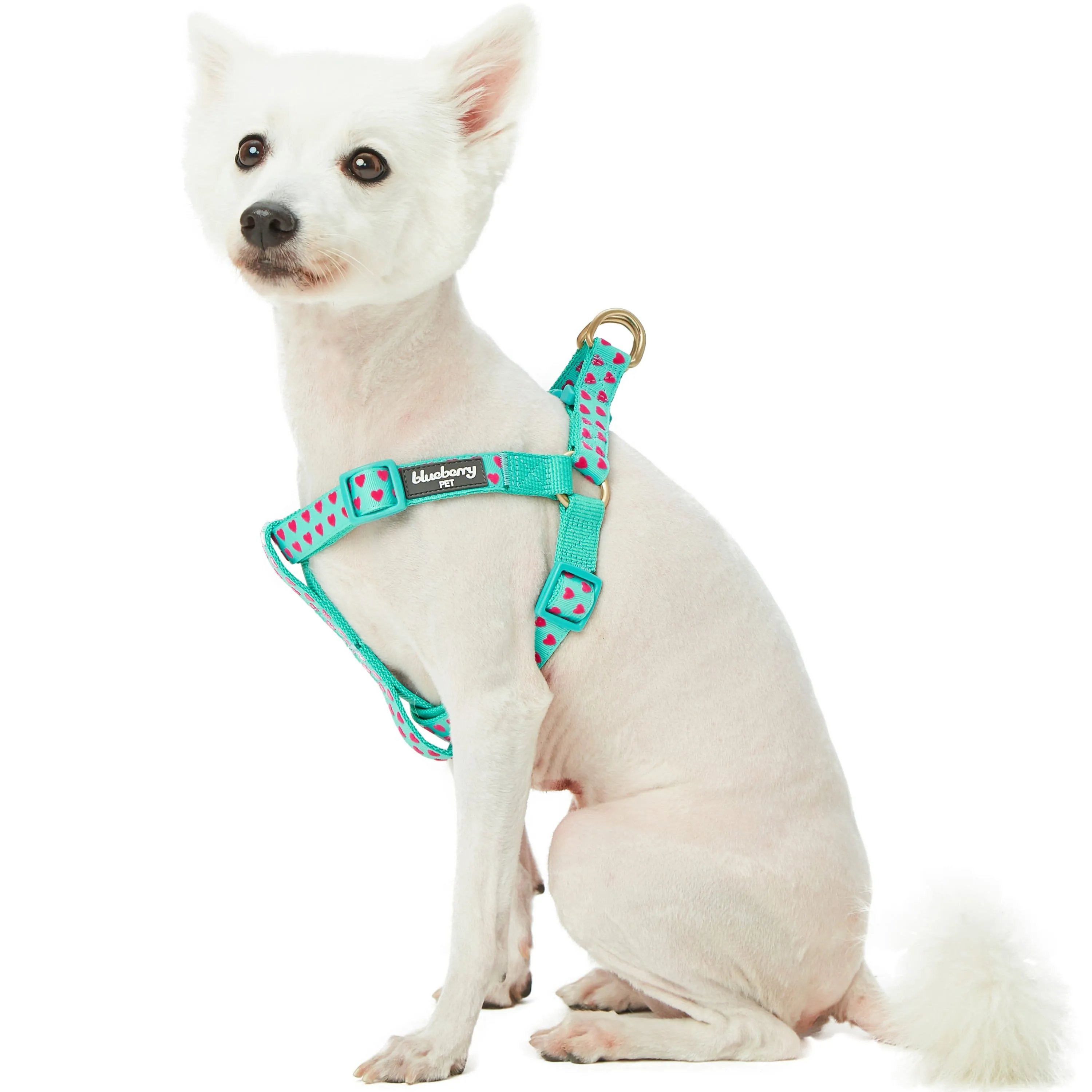 Dotted Velvet Heart Dog Harness