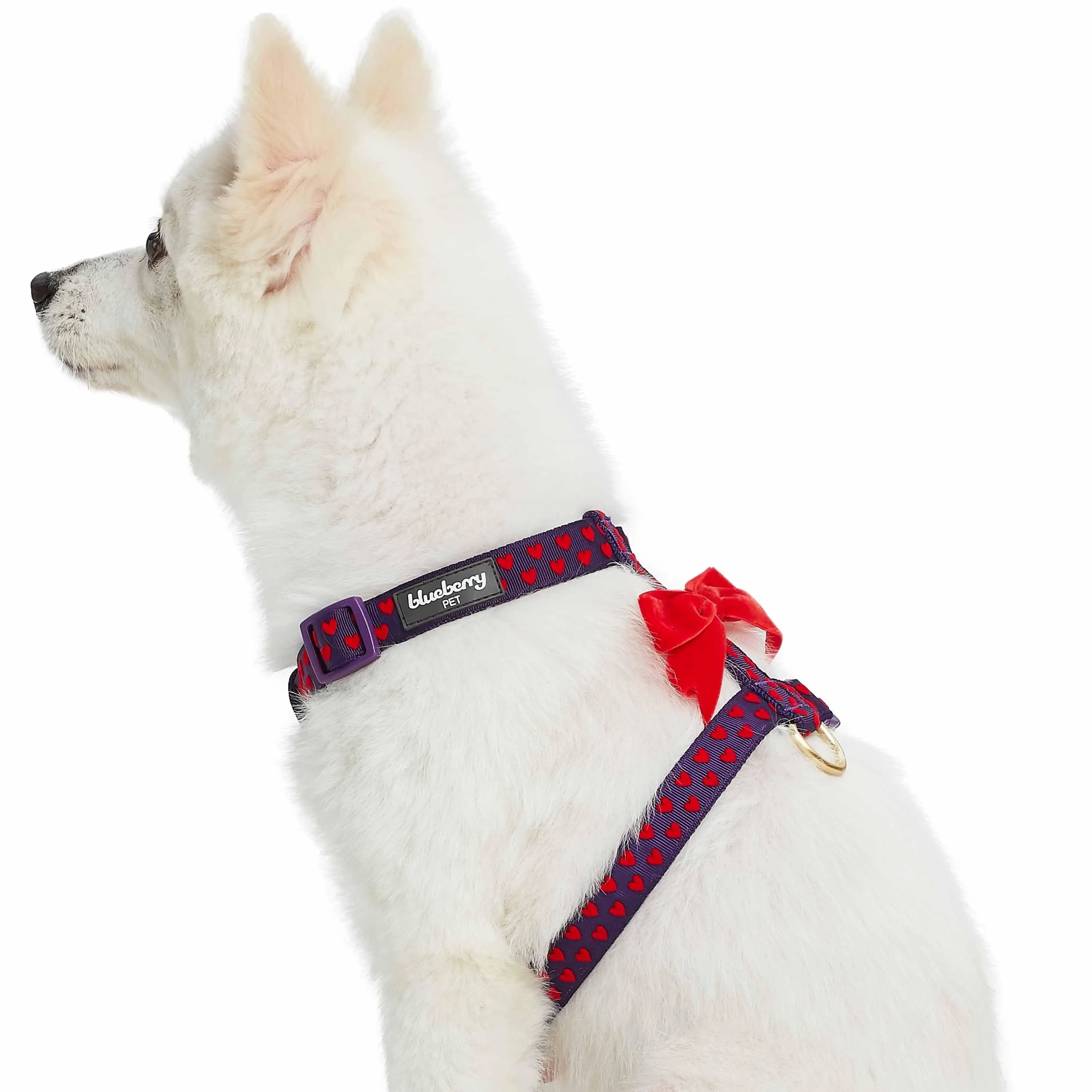 Dotted Velvet Heart Dog Harness