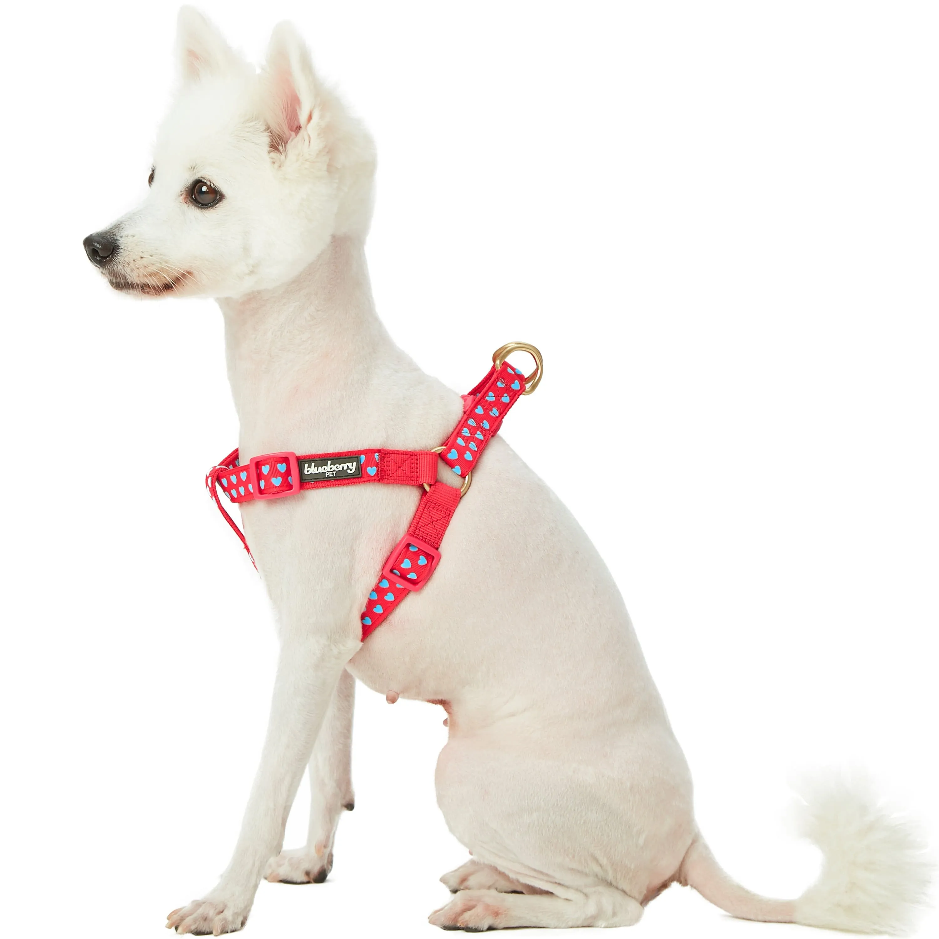 Dotted Velvet Heart Dog Harness