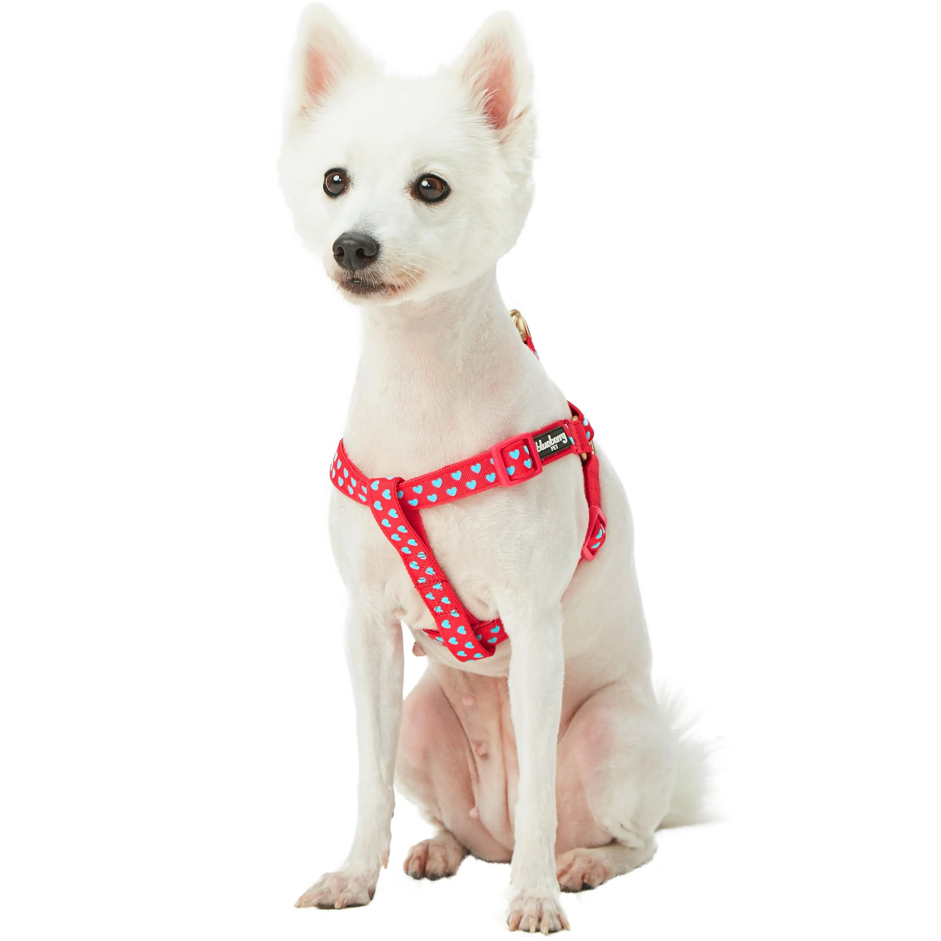 Dotted Velvet Heart Dog Harness