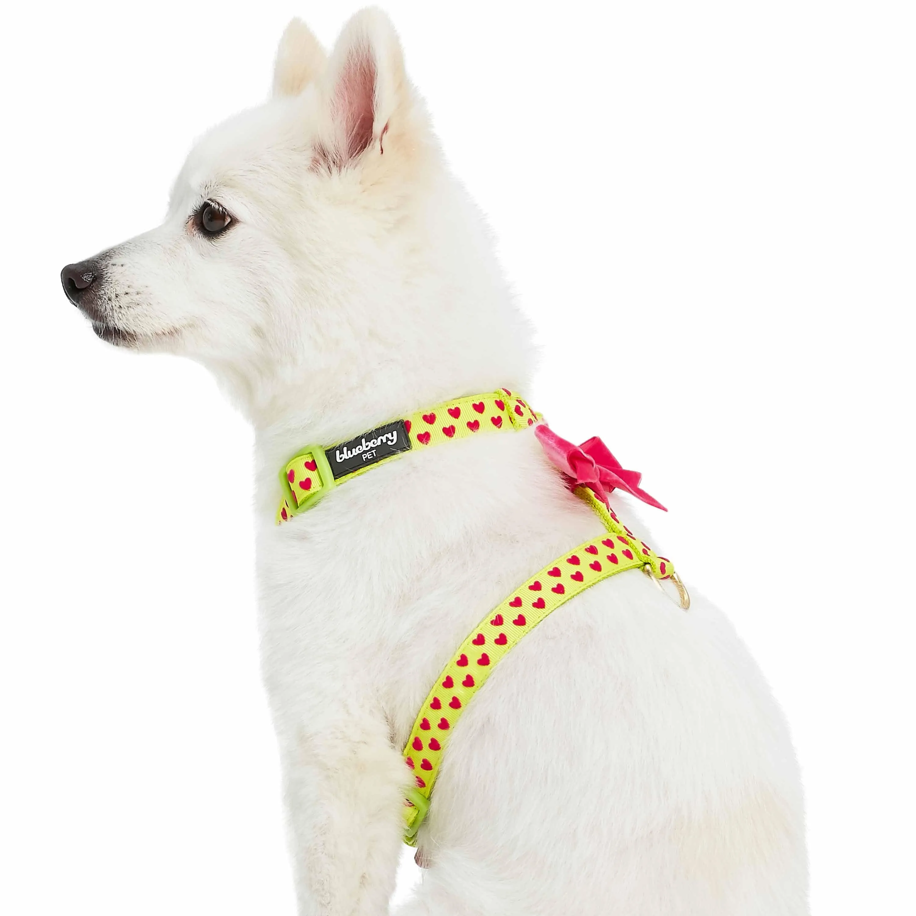 Dotted Velvet Heart Dog Harness