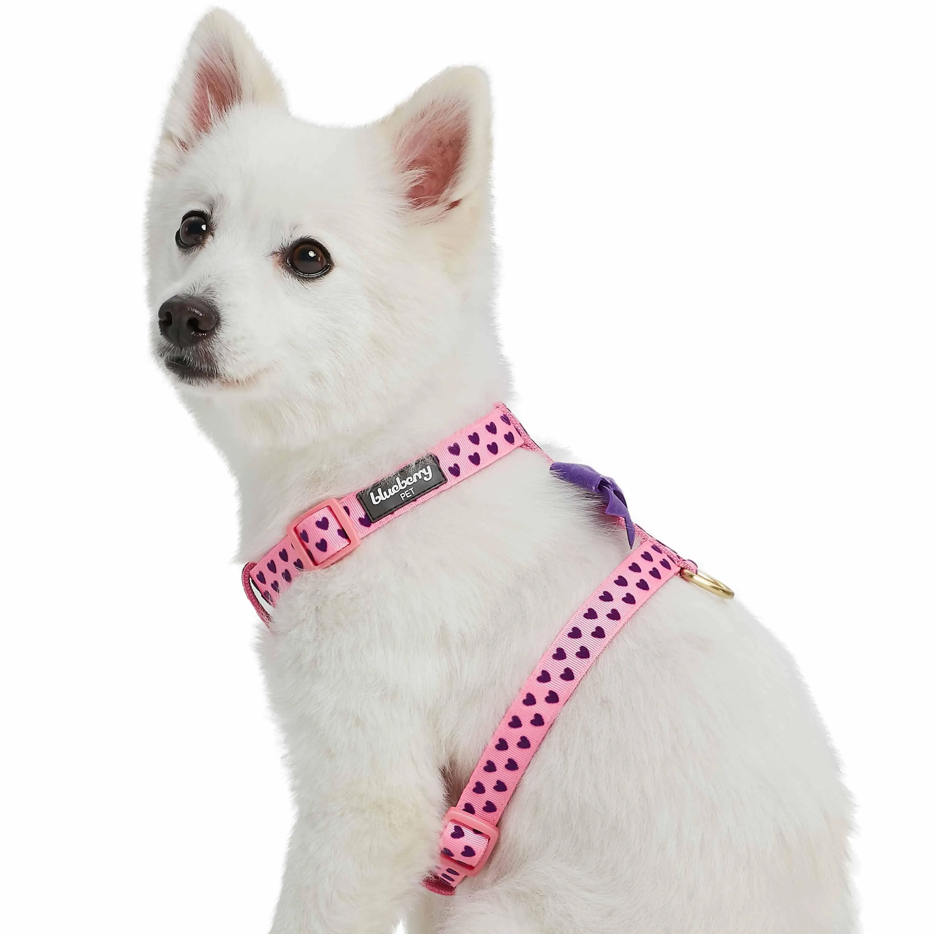 Dotted Velvet Heart Dog Harness