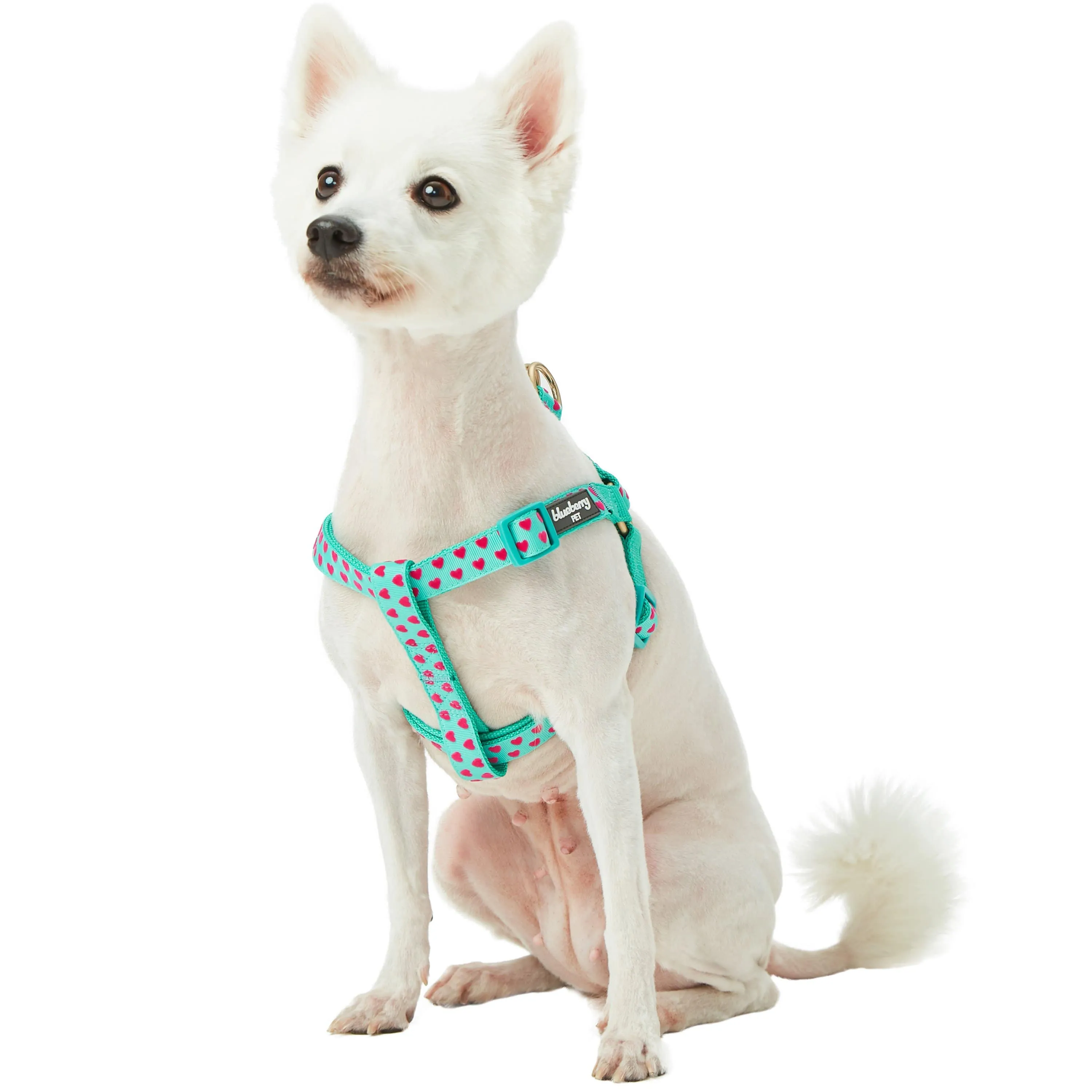 Dotted Velvet Heart Dog Harness