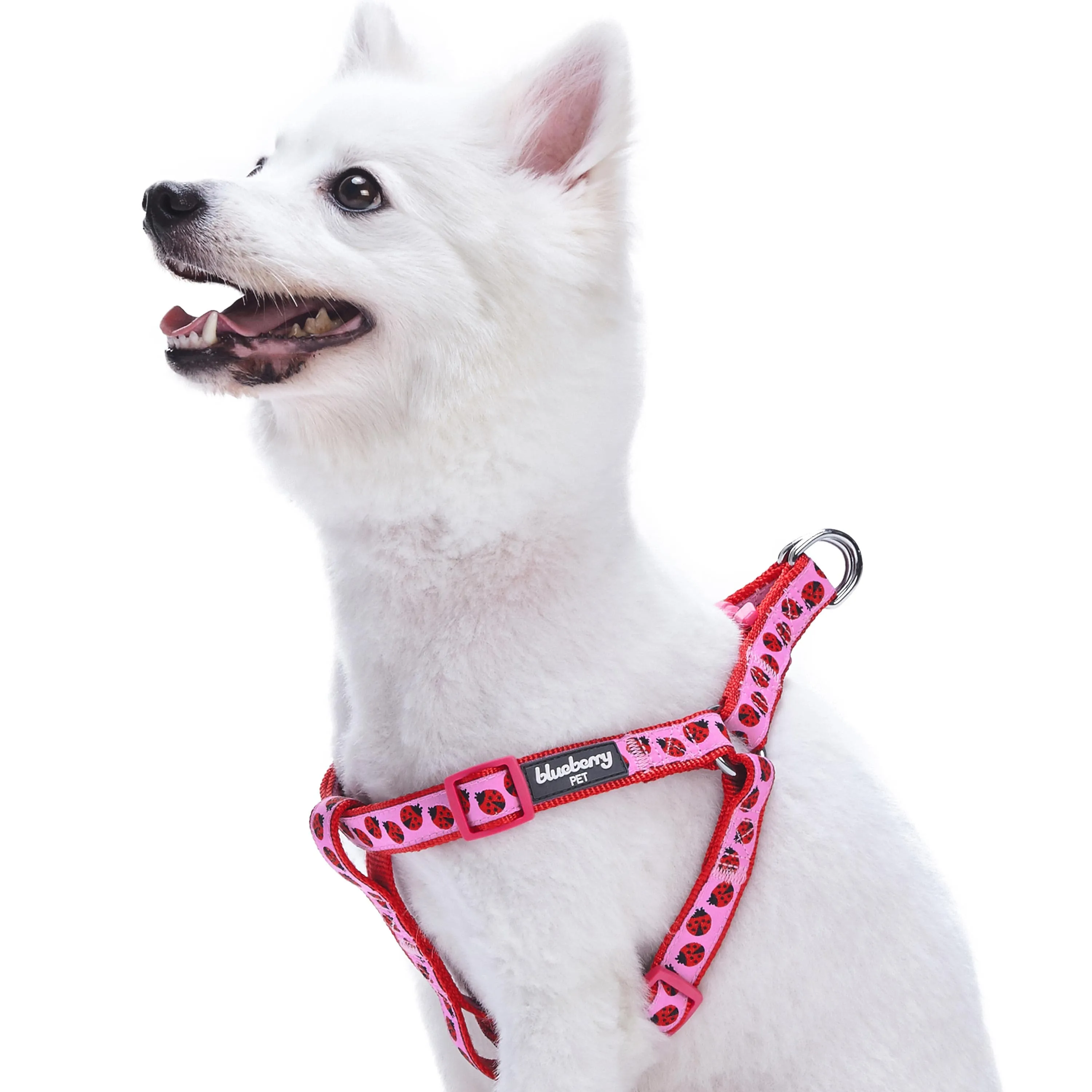 Flamingo Ladybug Dog Harness, Summer Vcation Hawaiian Plam Leaves Harness