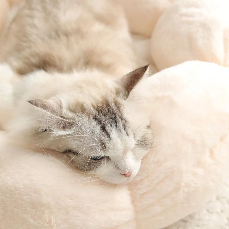 Flower Shaped Cat Bed