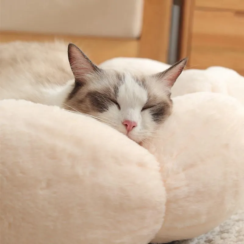 Flower Shaped Cat Bed