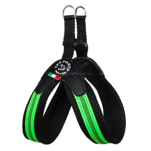 Fluo Pop Buckle