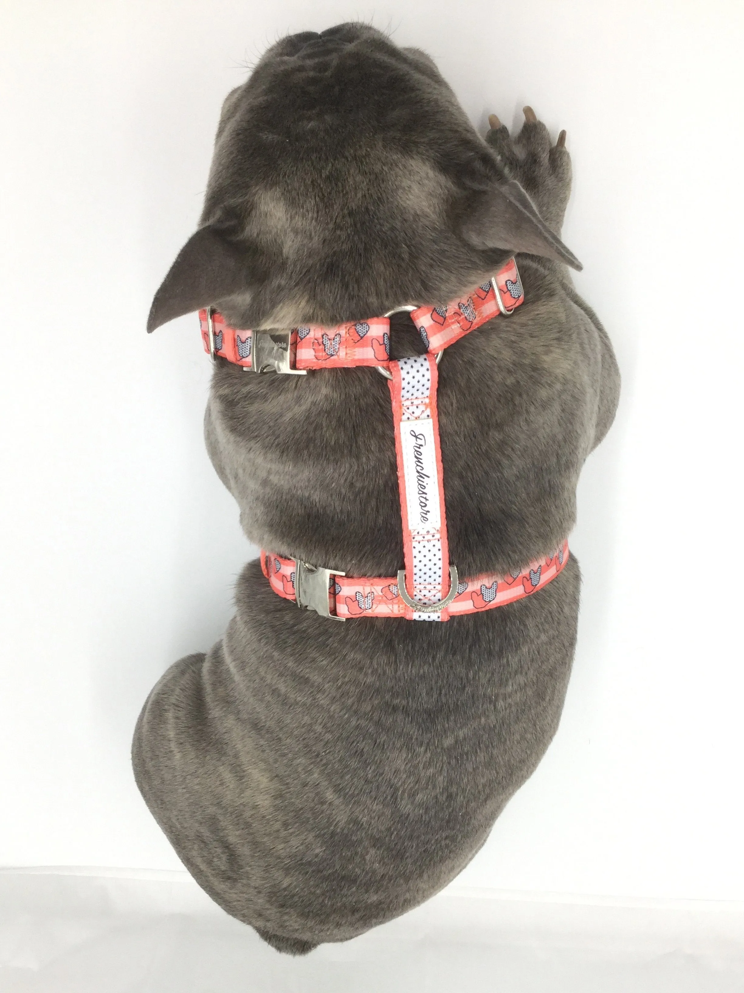 Frenchiestore Adjustable Pet Health Harness | Frenchie love in Pink