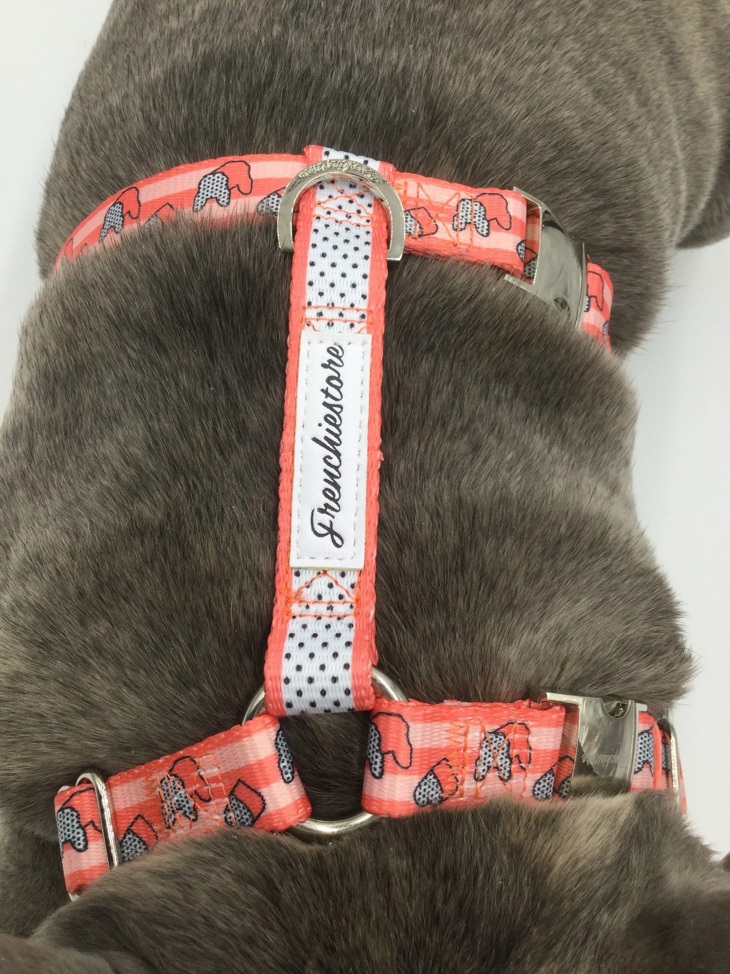 Frenchiestore Adjustable Pet Health Harness | Frenchie love in Pink