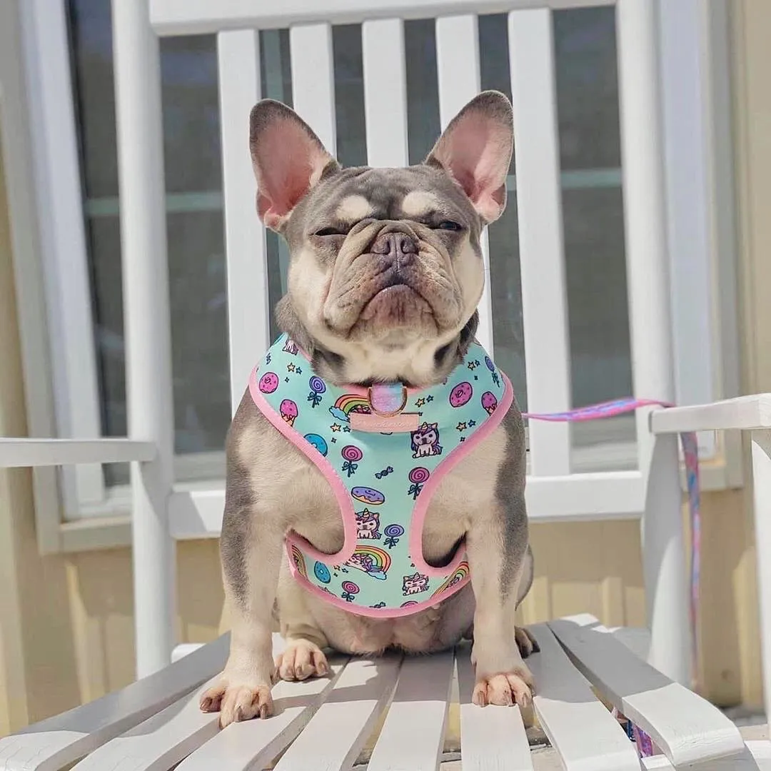 Frenchiestore Reversible Dog Health Harness | UniPup