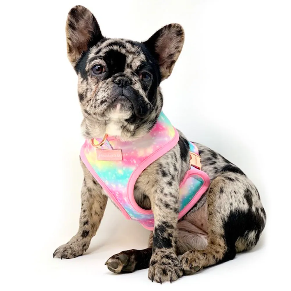 Frenchiestore Reversible Dog Health Harness | UniPup