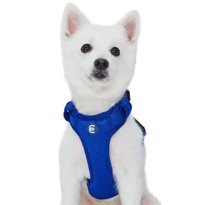 H Shape Adjustable Nylon Harness Vest for Girl Boy Dogs, Blue Pink Green..