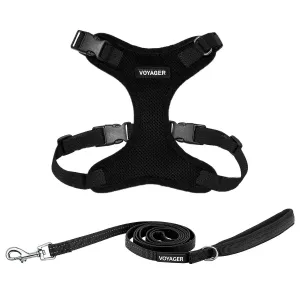 Halloween Step-In Lock Harness & Leash Set