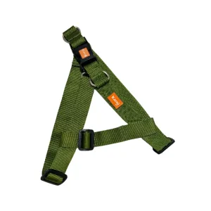 Kanu Pet Green Dog Harness