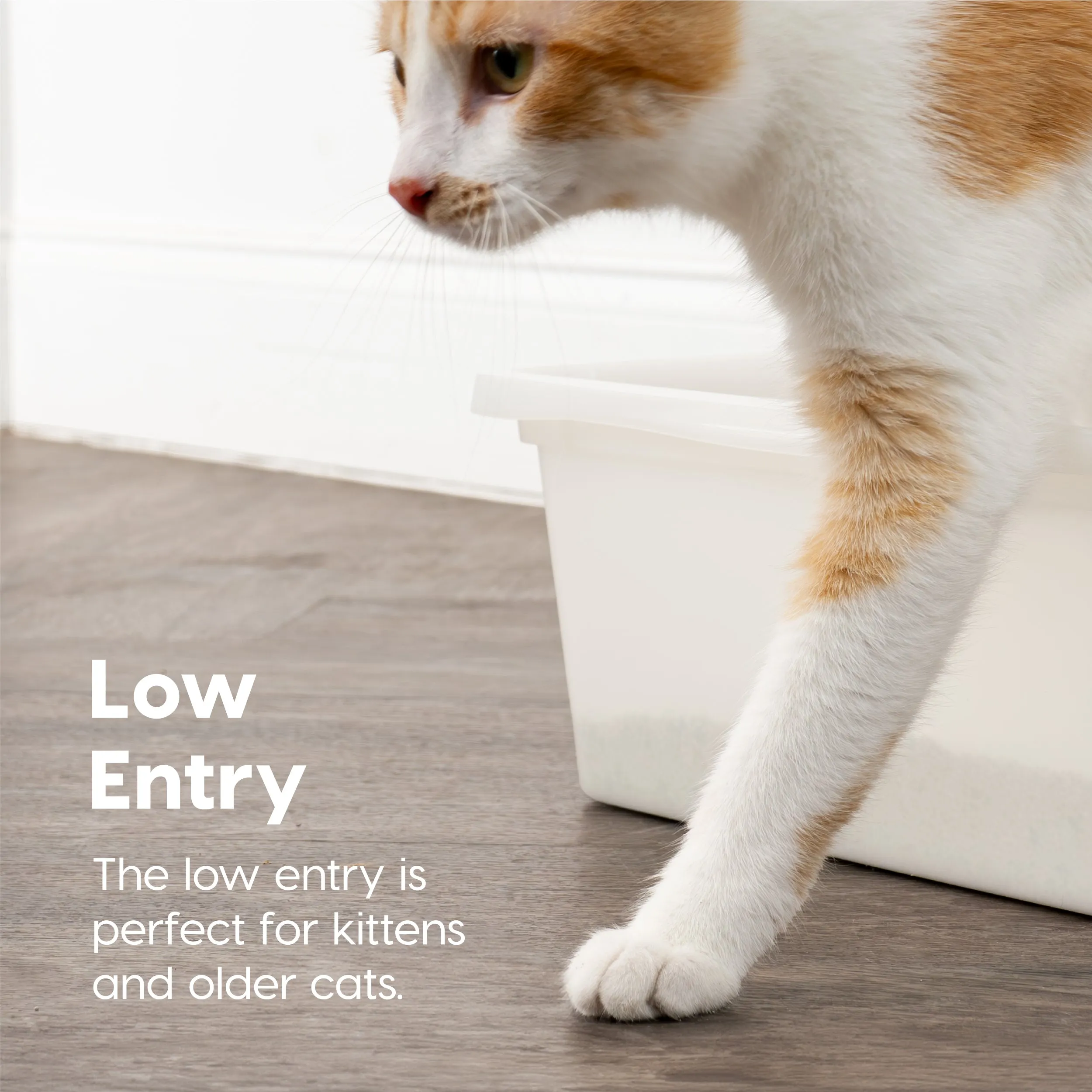 Large Open Top Cat Litter Tray