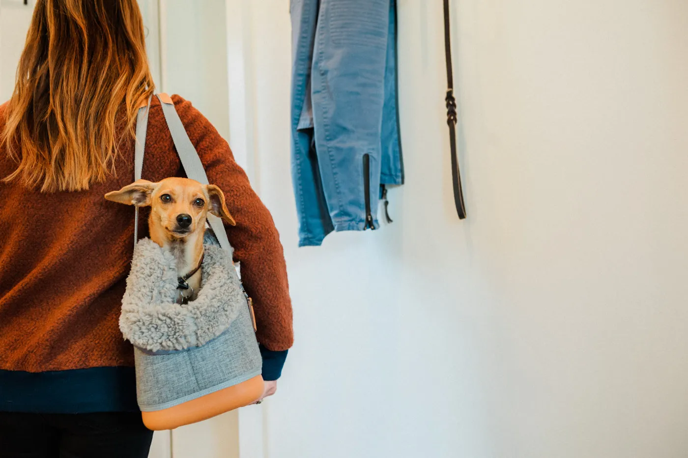 LeftPine x P.L.A.Y. Deluxe Dog Carrier