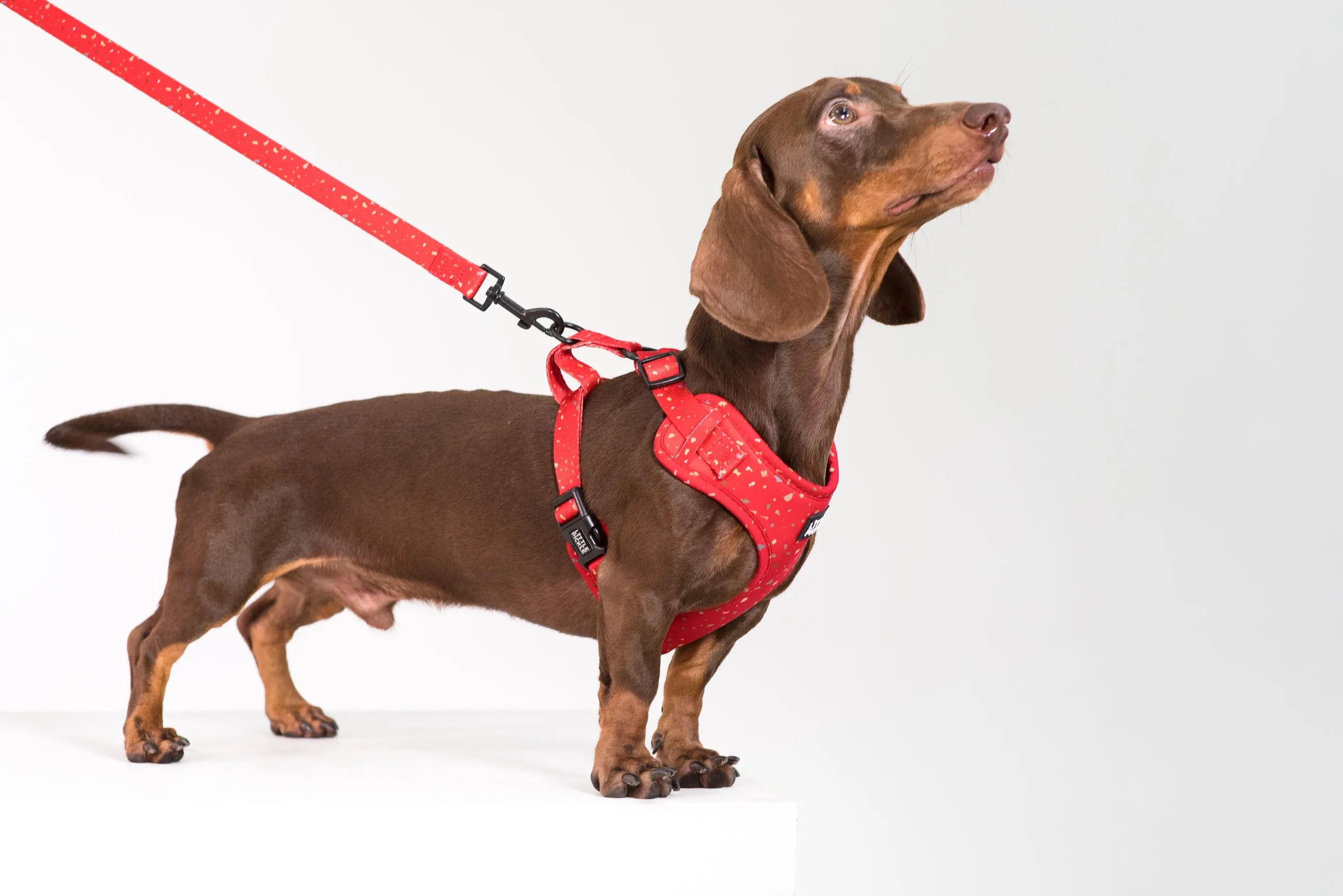 Neo Adjustable Harness in Celebration Red Design