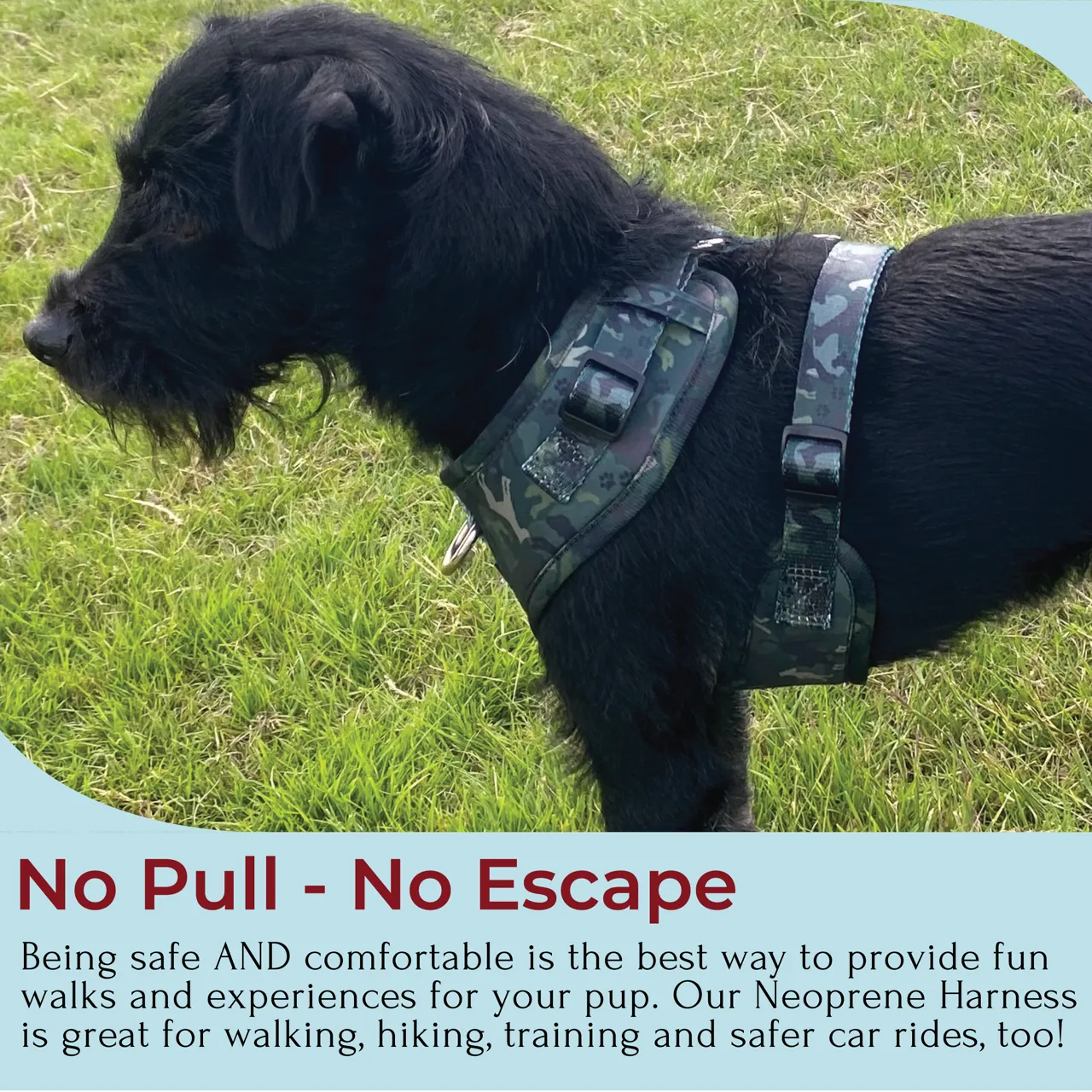 No Pull Pet Harness - Green Camouflage