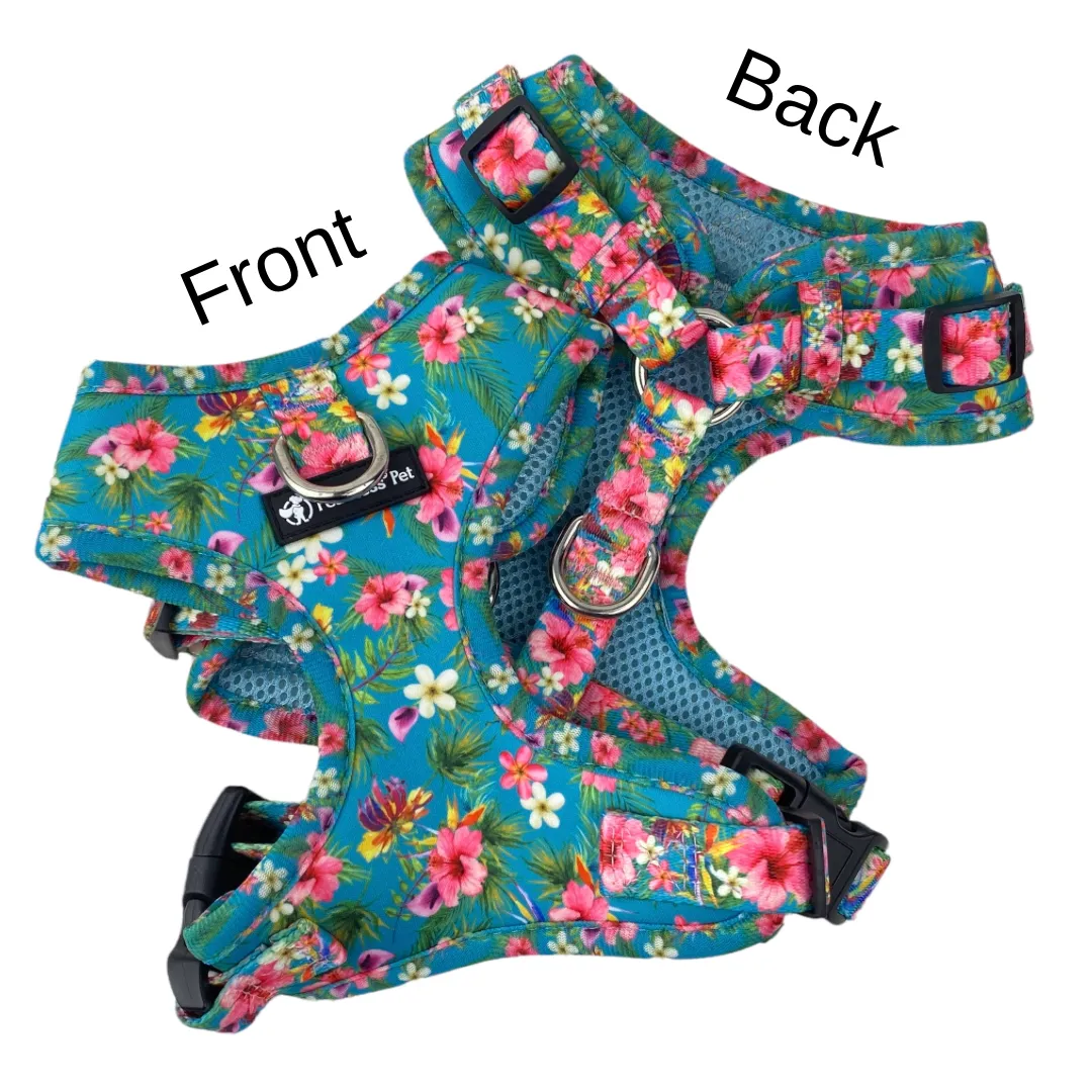 No Pull Pet Harness - Teal Hawaiian