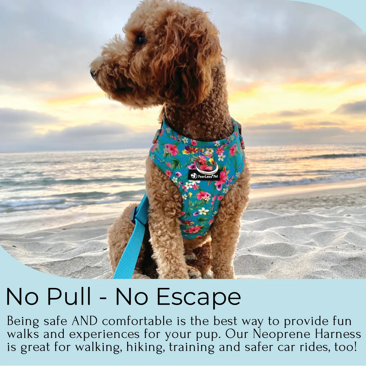 No Pull Pet Harness - Teal Hawaiian