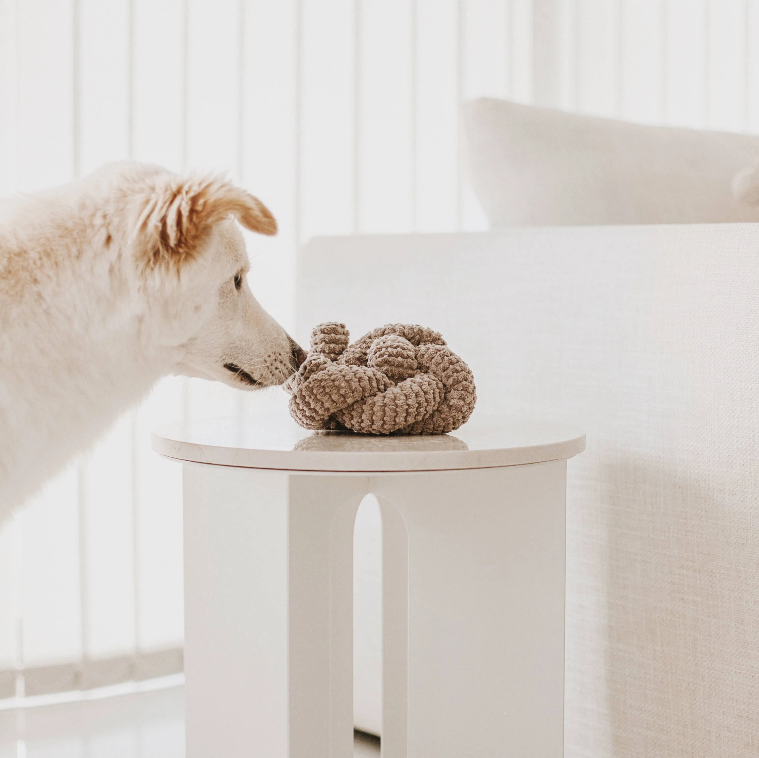 NOU | squeakers//ENRICHMENT DOG TOY