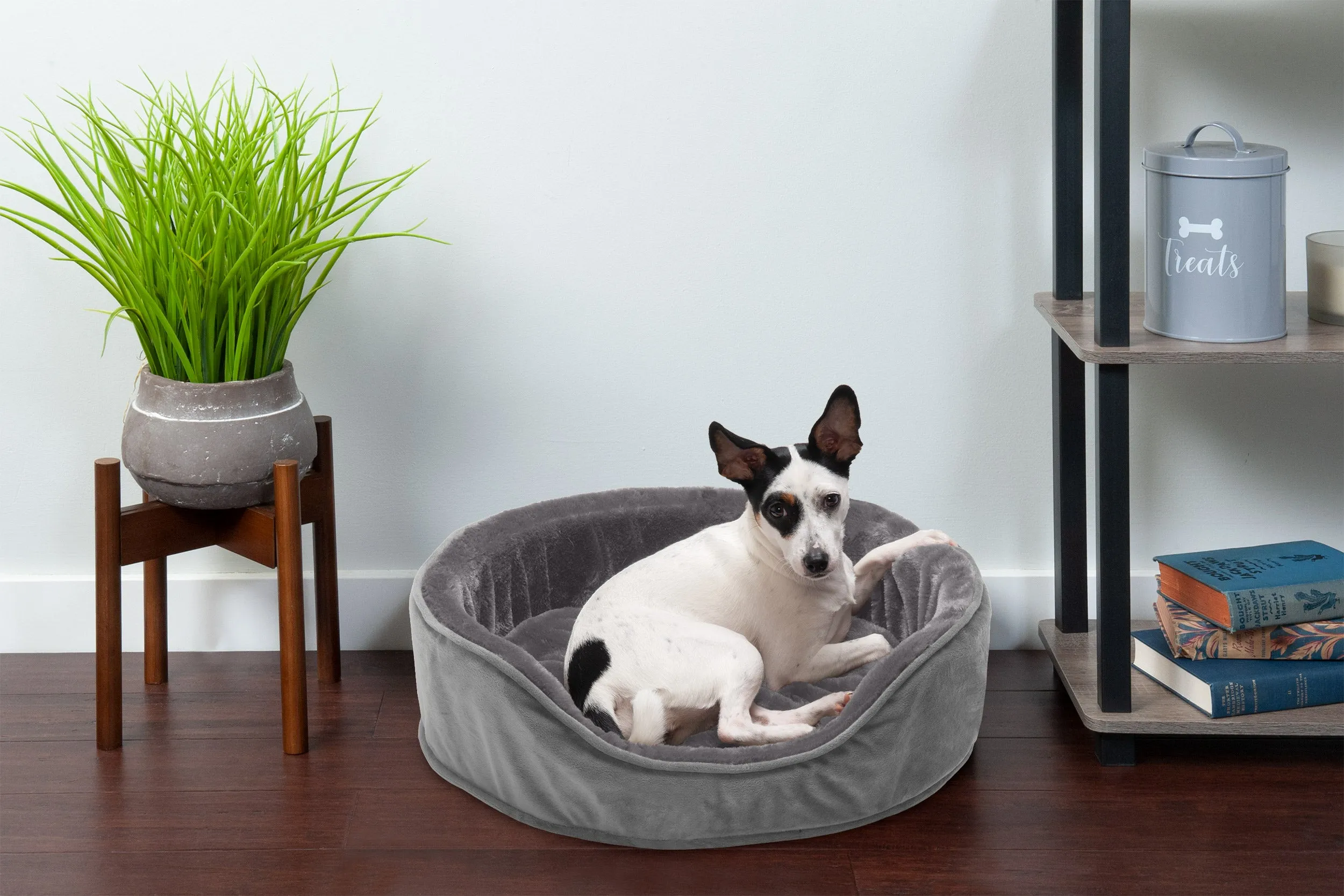 Oval Dog Bed - Plush & Velvet