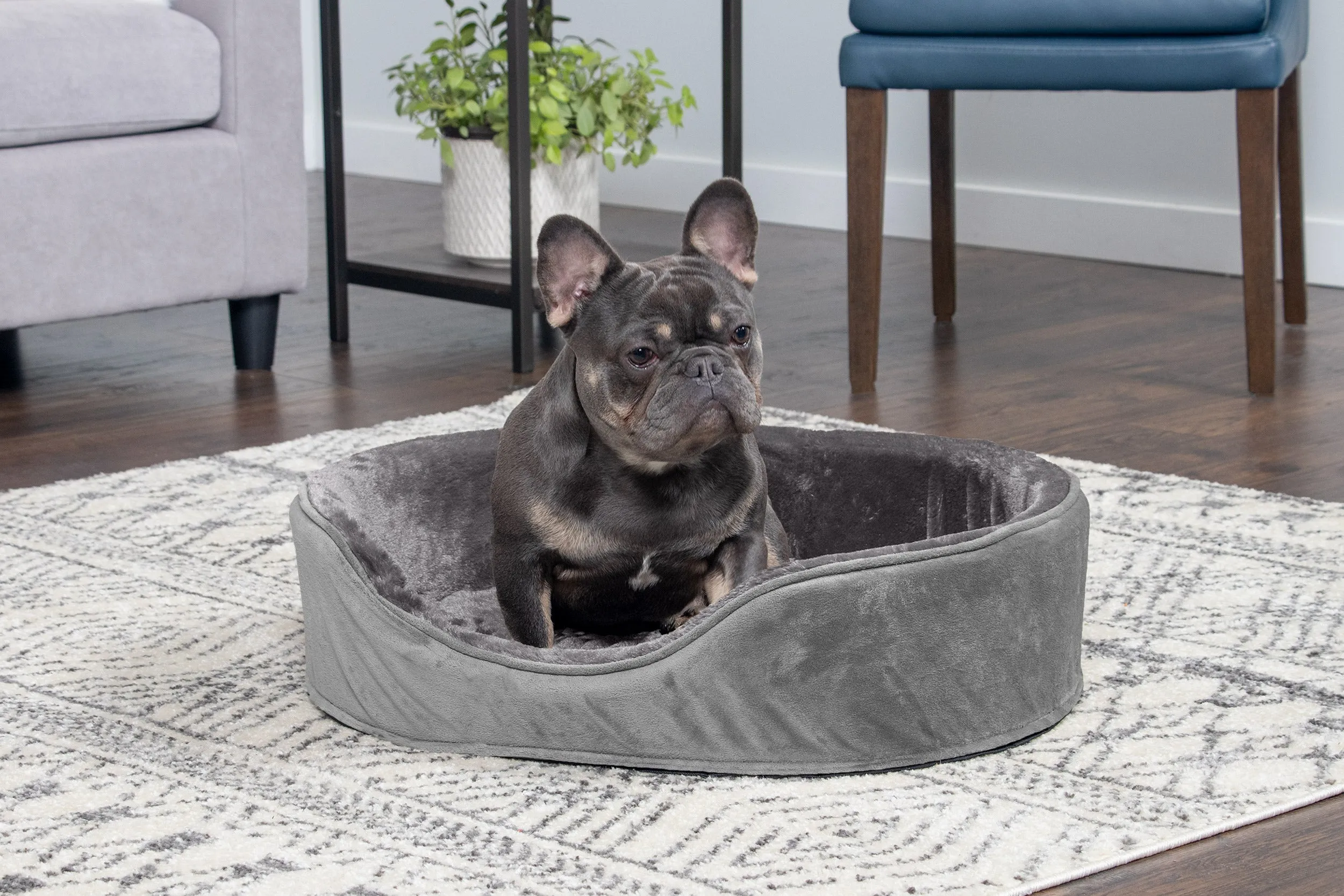 Oval Dog Bed - Plush & Velvet