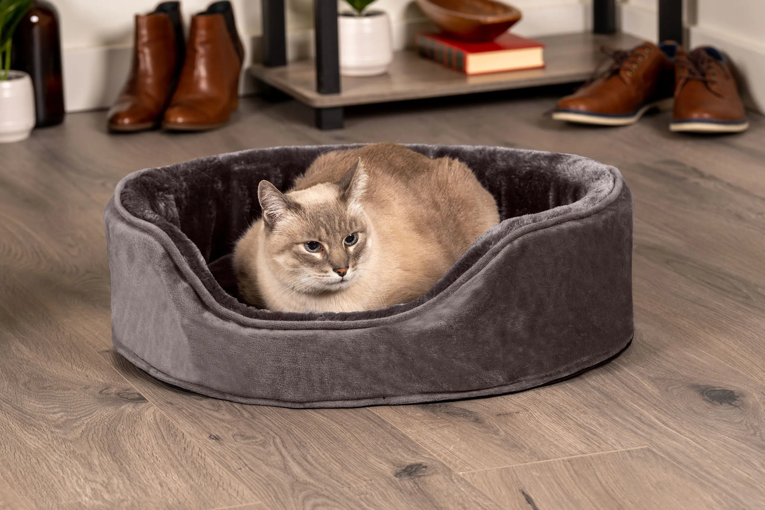 Oval Dog Bed - Plush & Velvet