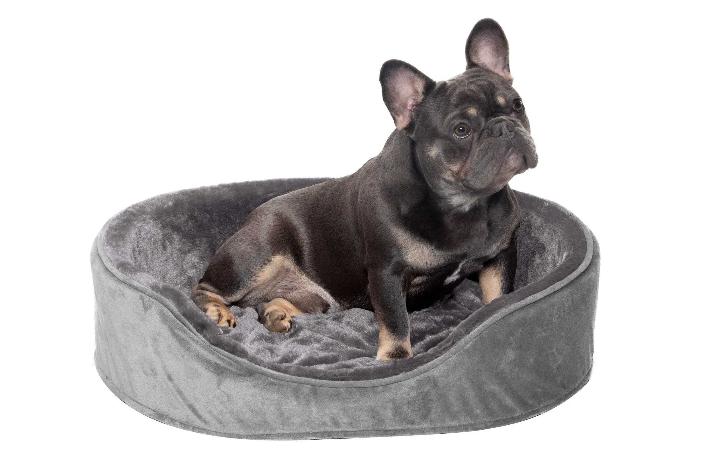 Oval Dog Bed - Plush & Velvet