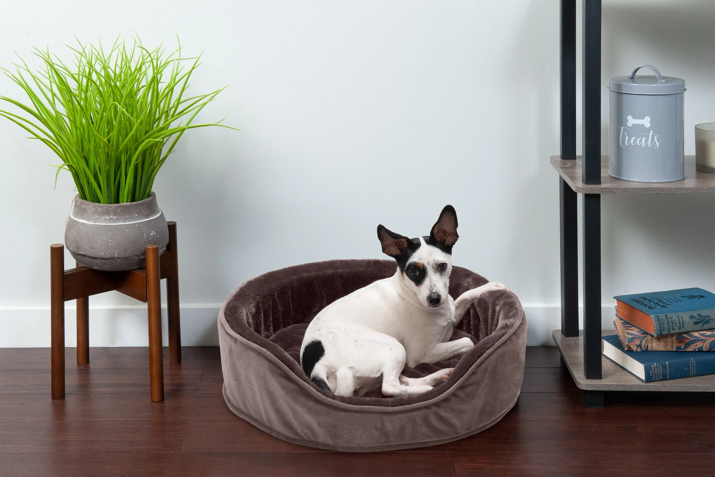 Oval Dog Bed - Plush & Velvet