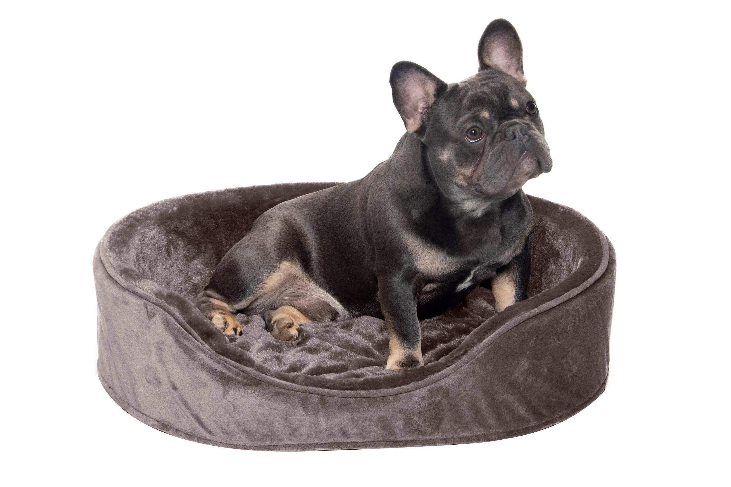 Oval Dog Bed - Plush & Velvet