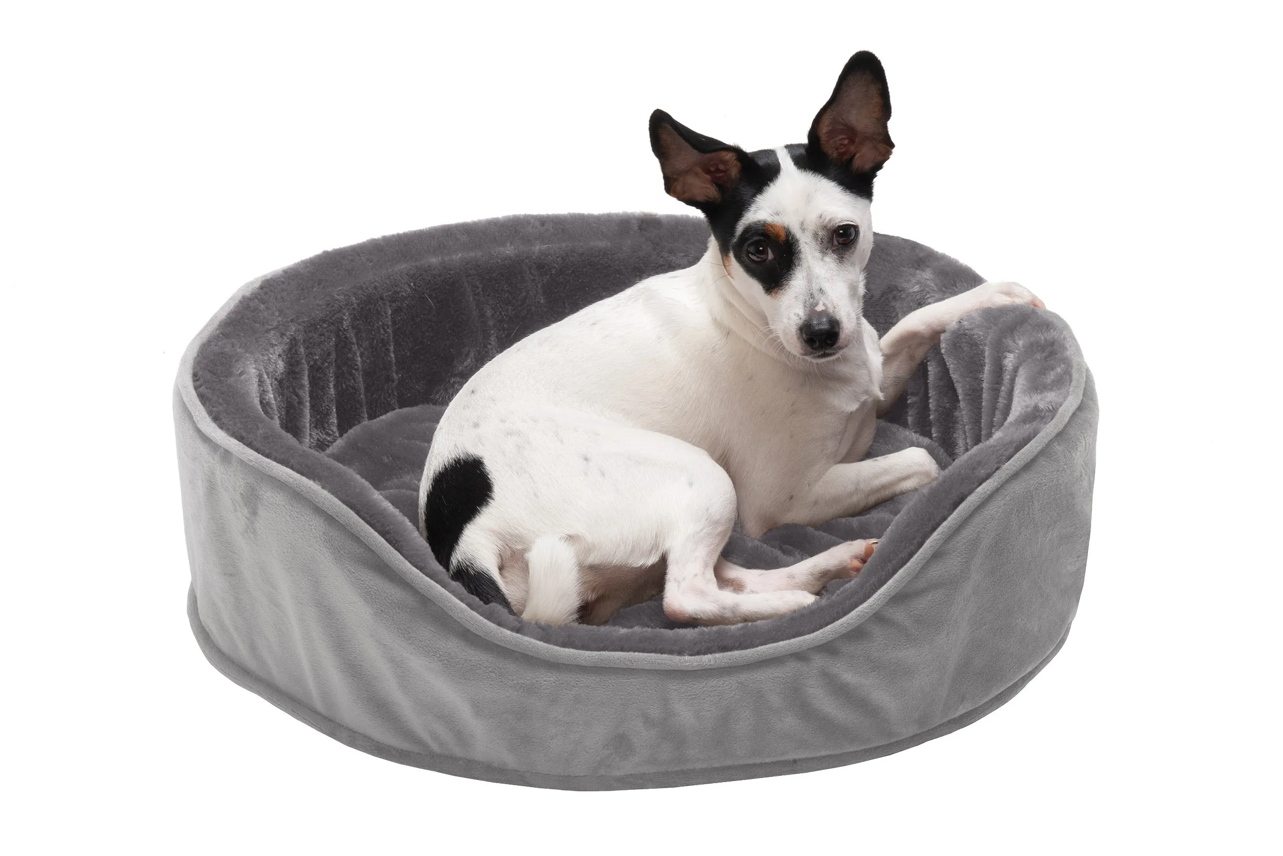 Oval Dog Bed - Plush & Velvet